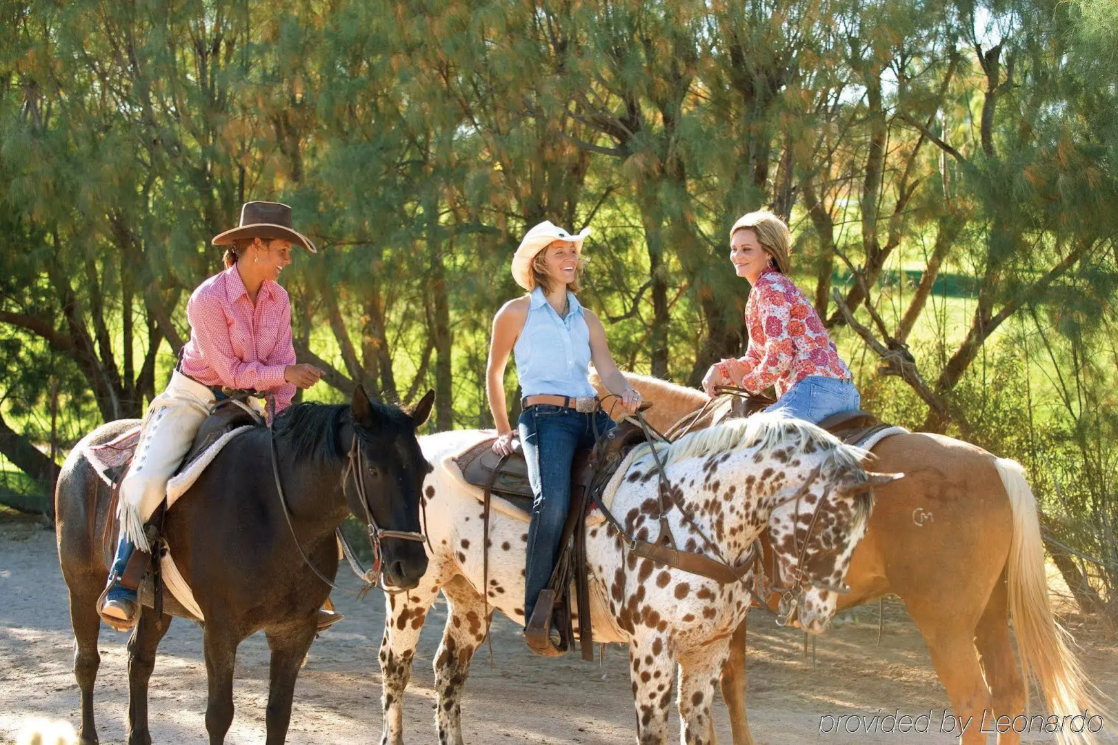 Rancho de los Caballeros