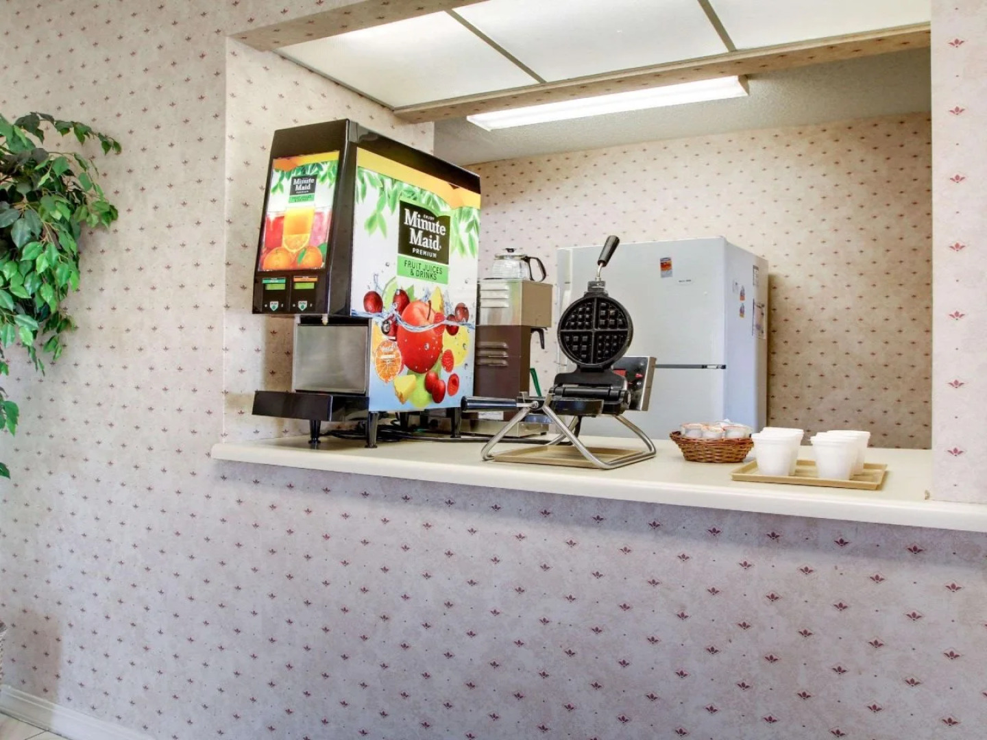 Econo Lodge Pearl - Jackson