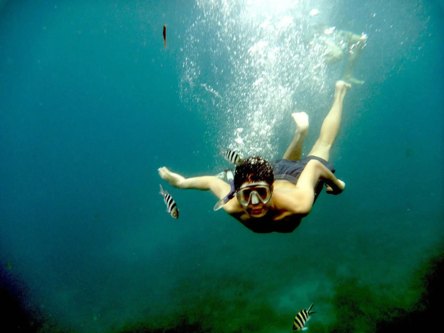 Majika's Island Resort