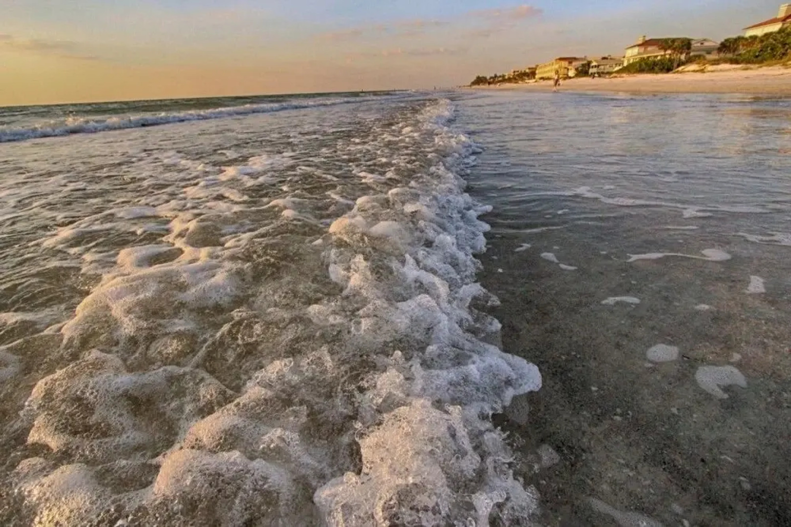 Lazy Dolphin Condo by RedAwning