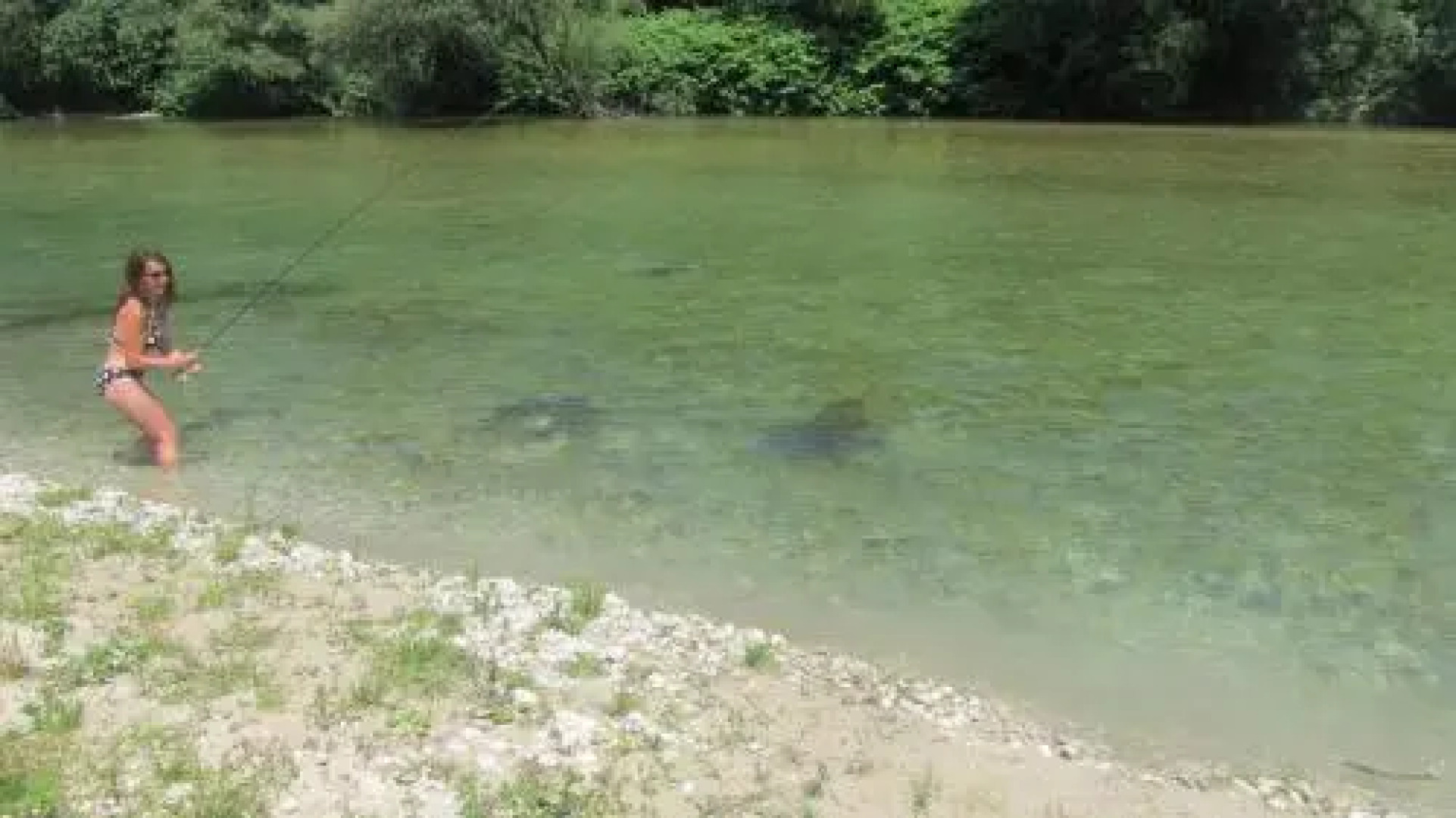 Apartments and Rooms With View on Bled