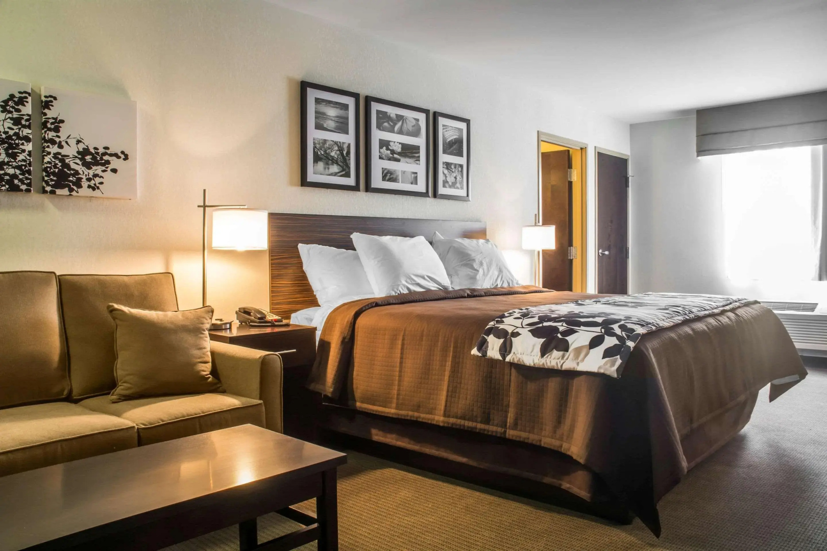 Sleep Inn & Suites Airport