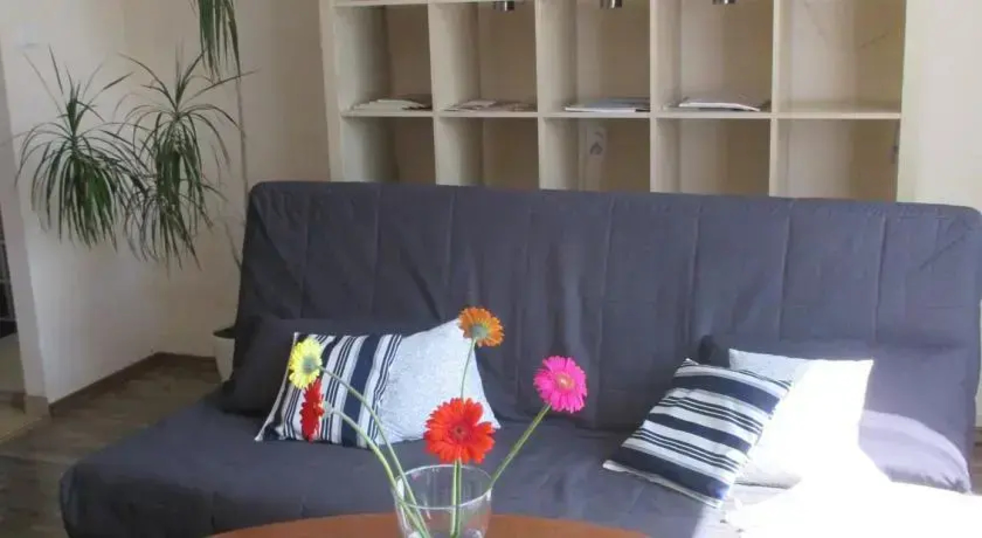 Kawalerka Starowiejska