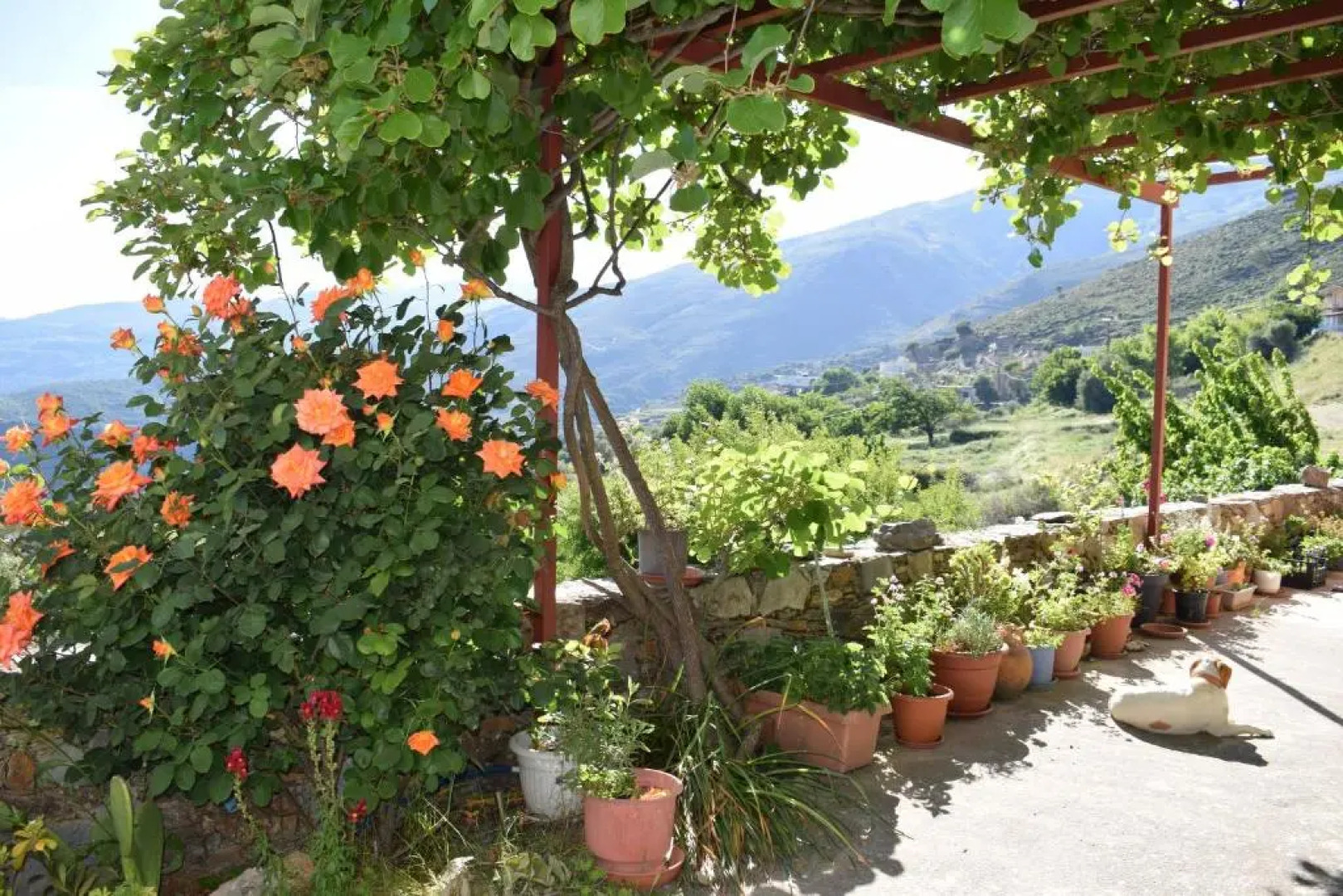 Eriki Studios & Apartments