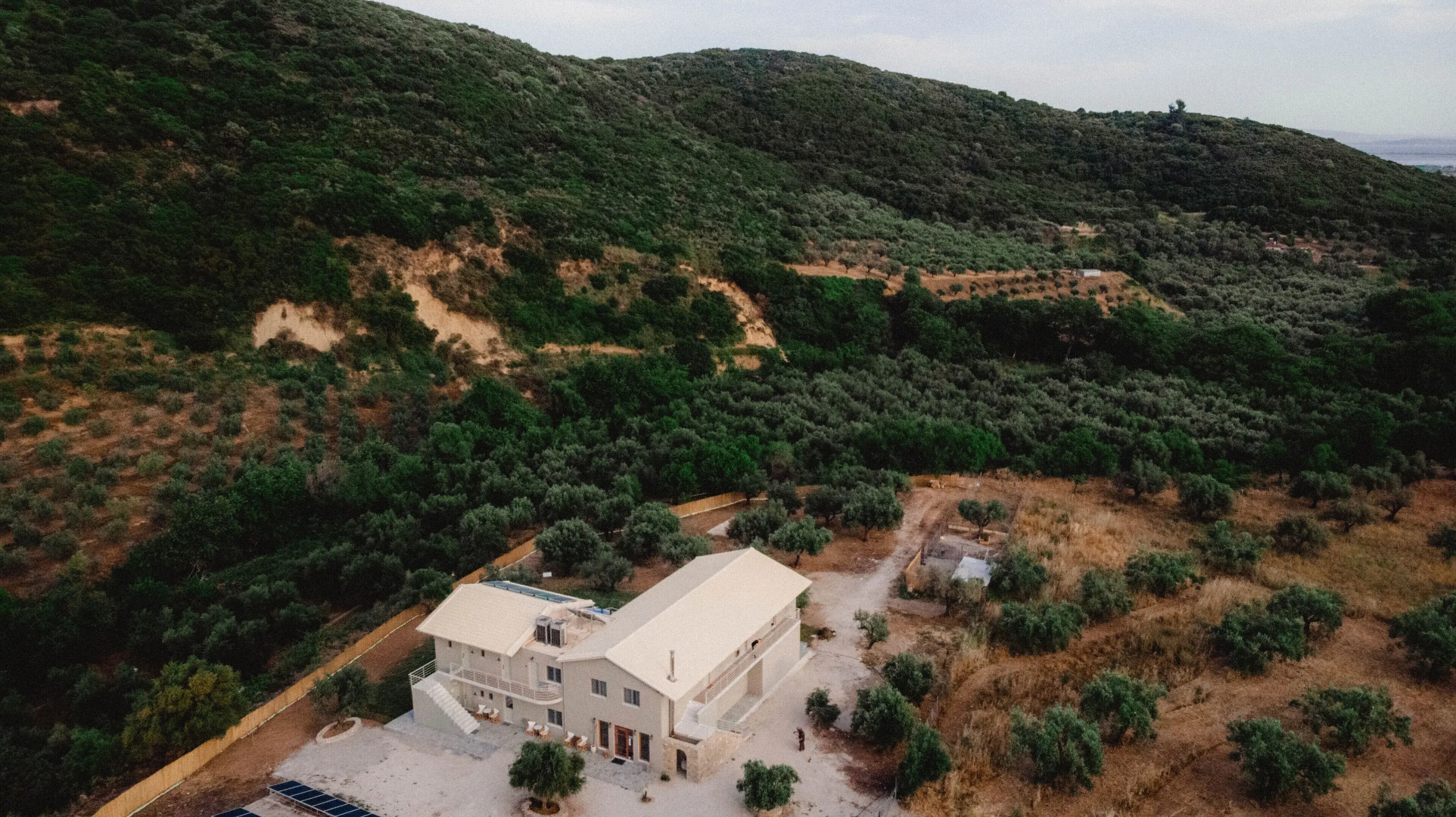 Socrates Organic Village - Wild Olive