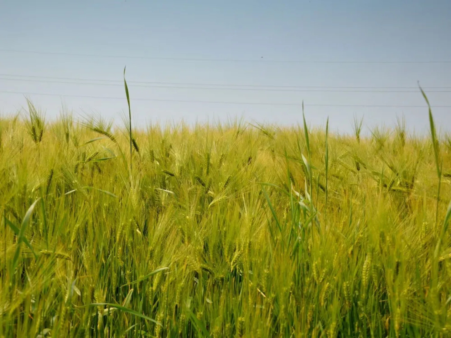 Rural and Charming Holiday Home Near the Cã´te D'opale