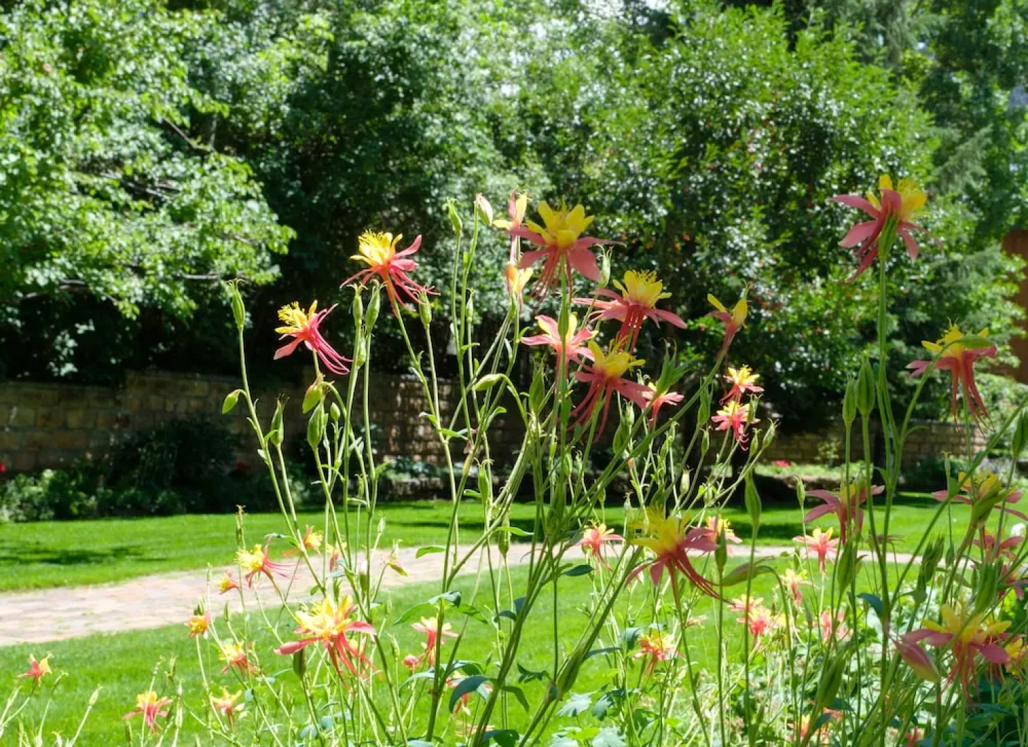 Secret Garden Bed & Breakfast
