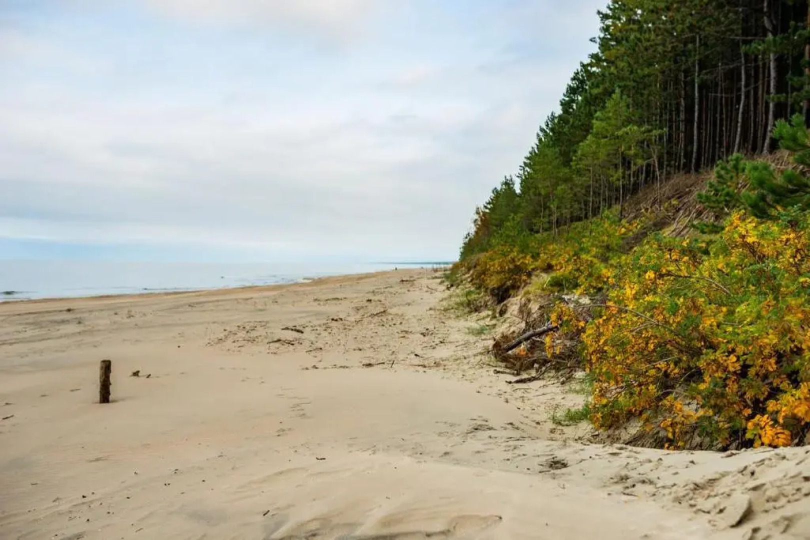 Apartamenty Sun & Snow Baltic Park