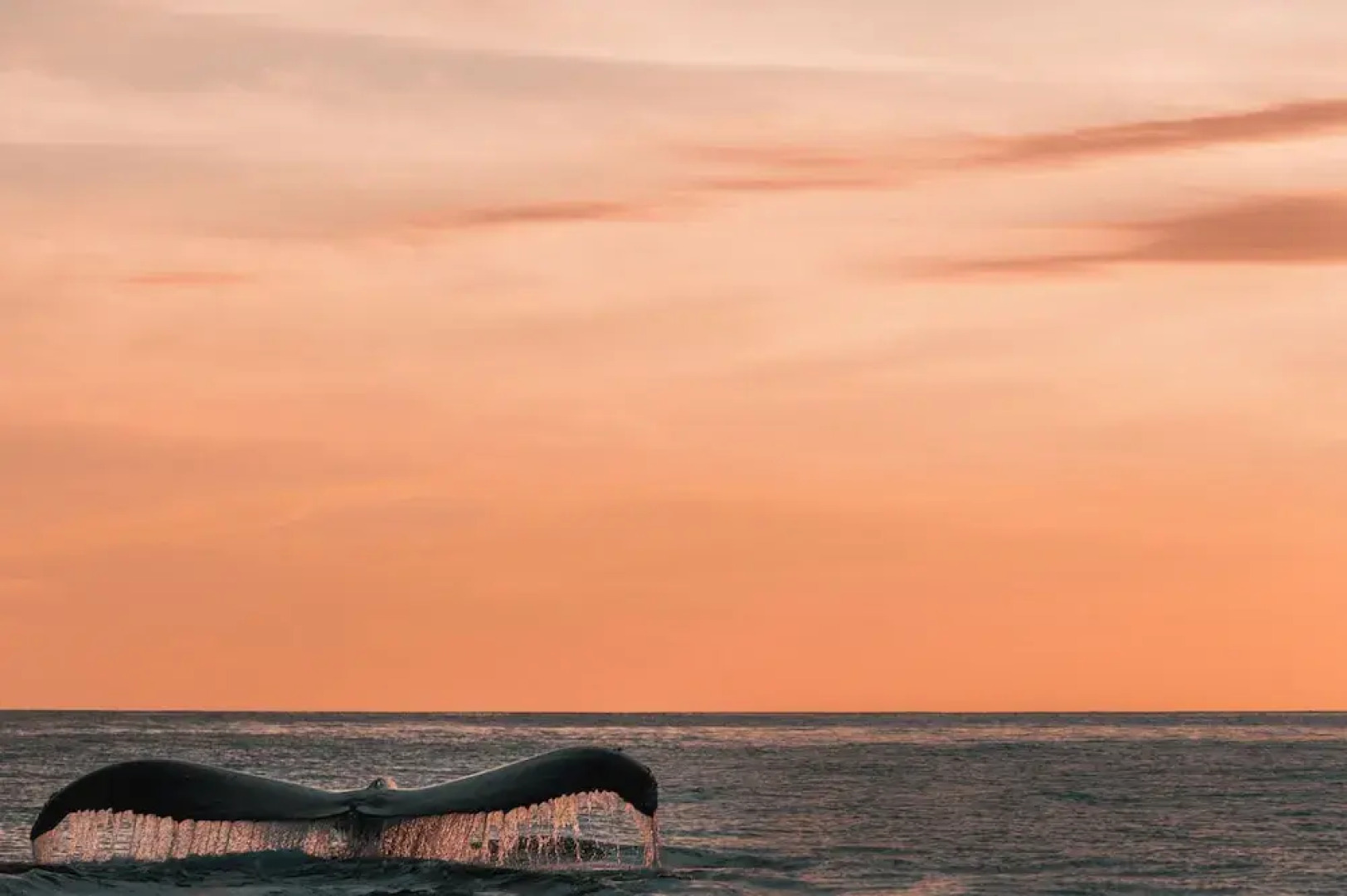 La Alberca Boutique Hotel