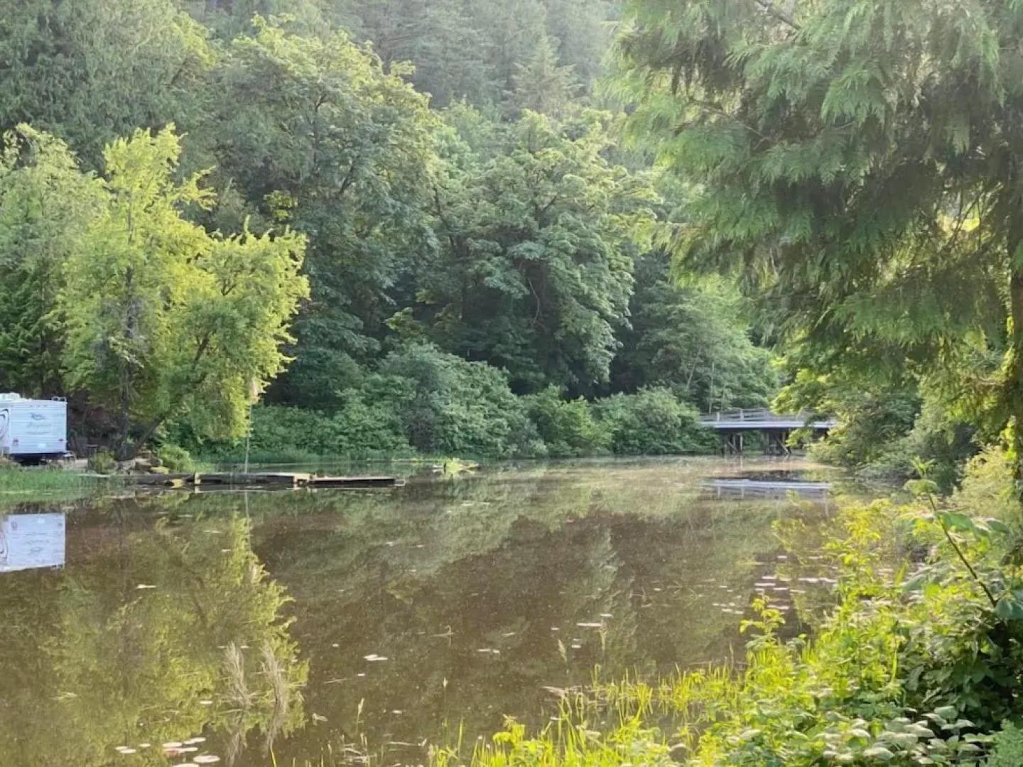 Harrison Lake Cottages