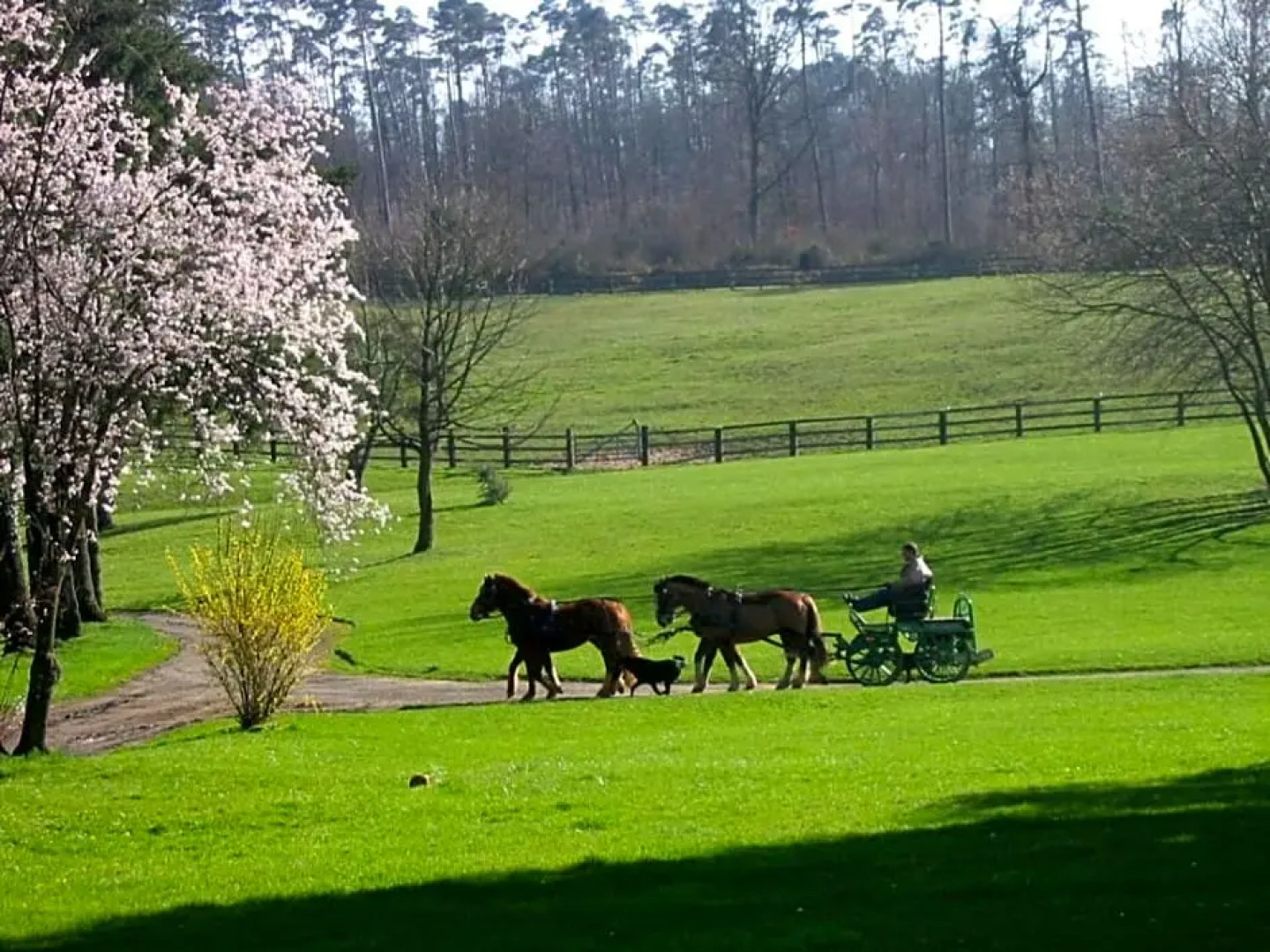 Chambres dhôtes La Verrerie du Gast
