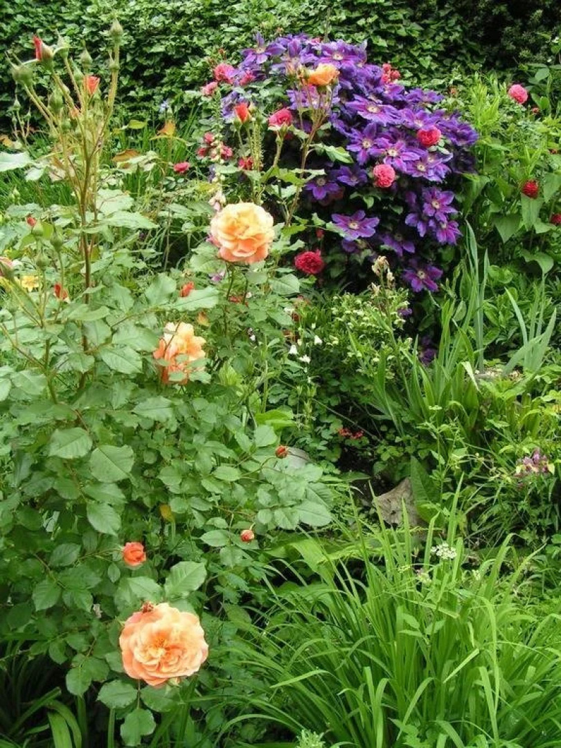 Hotel Schmausemühle