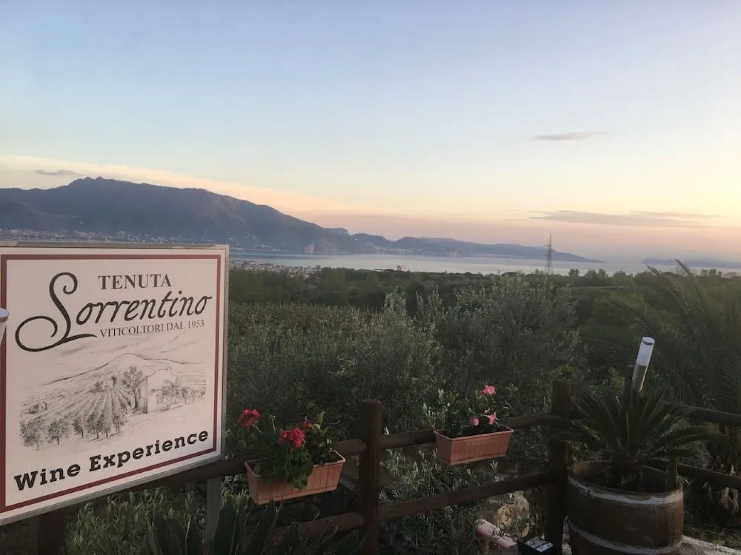 Sorrentino Vini Country House