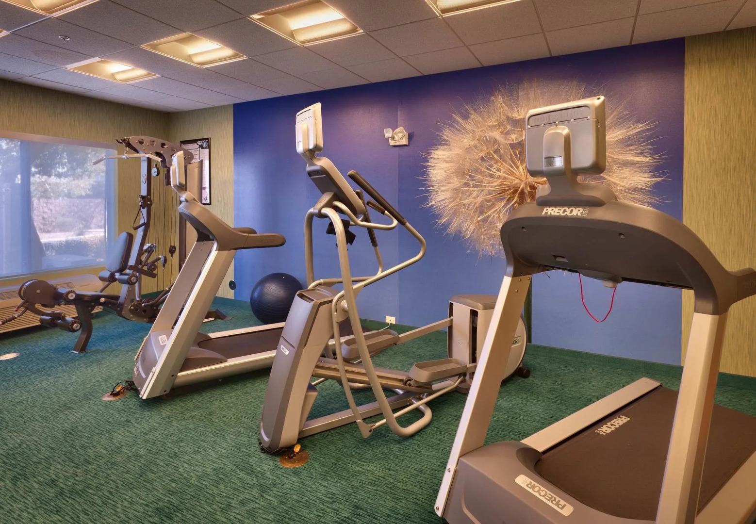 SpringHill Suites by Marriott Yuma