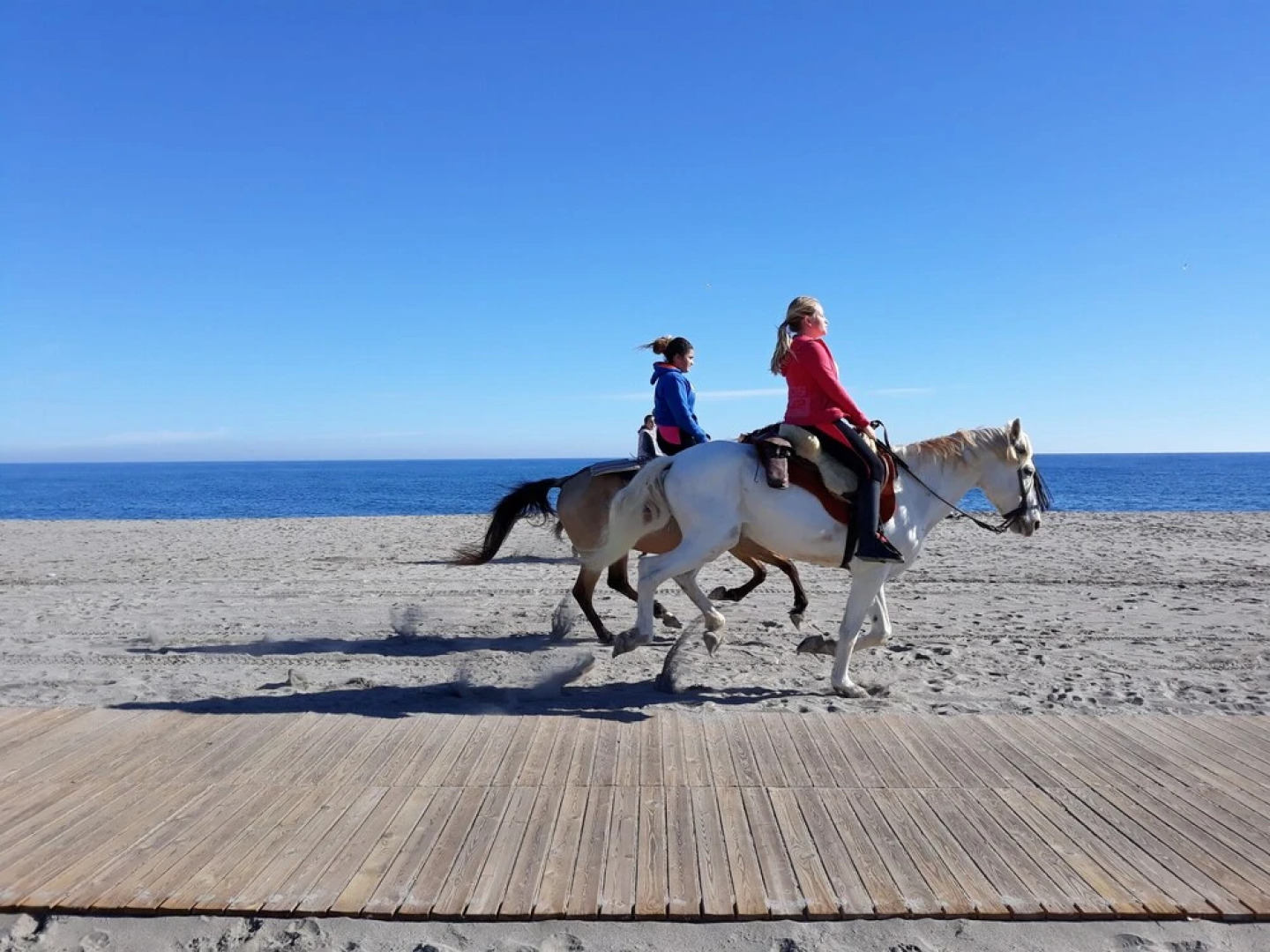 SUN, BEACH & SPA ALL THE YEAR beautiful place to enjoy in summer or winter