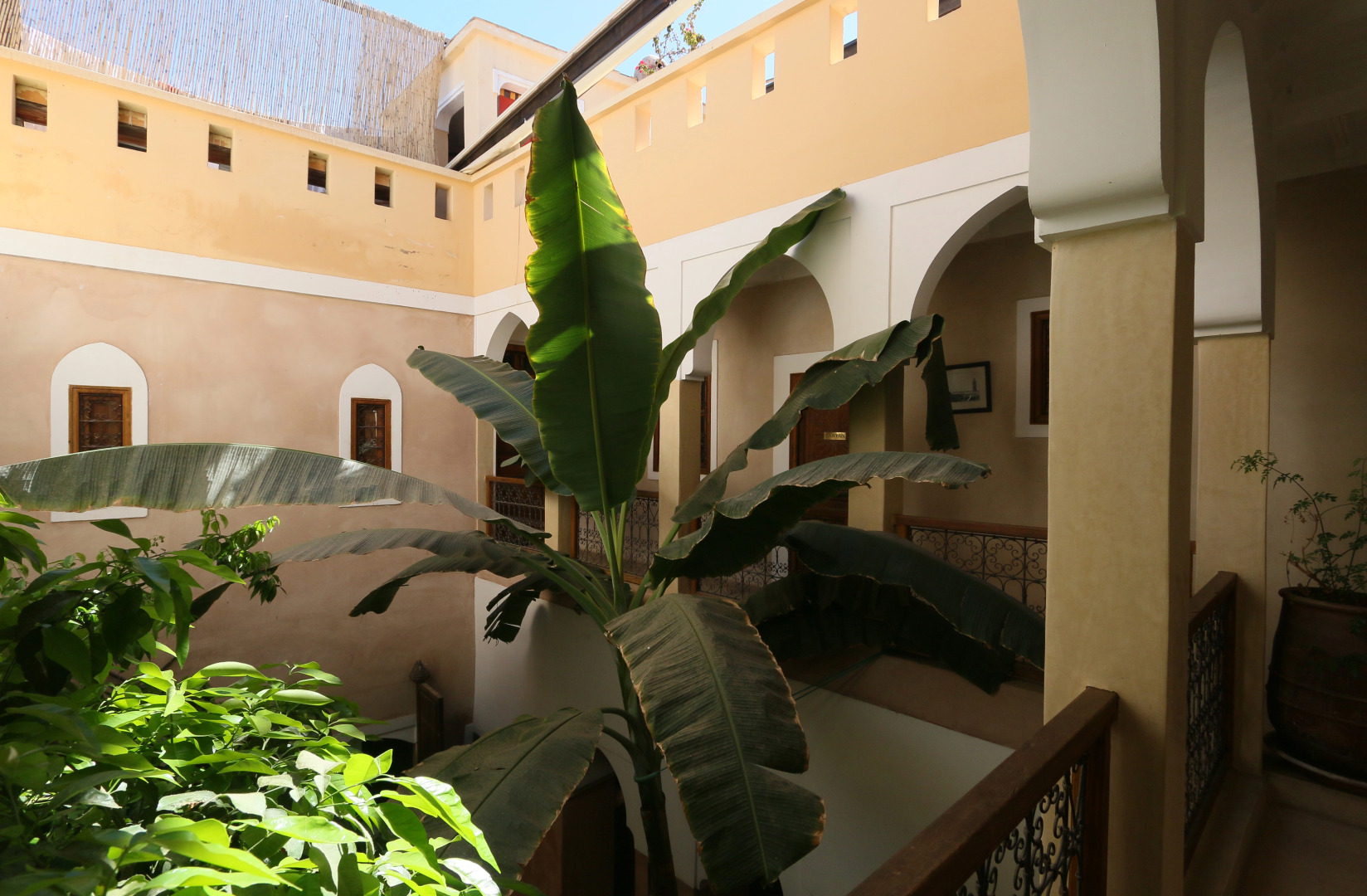 Riad Sidi Mimoune