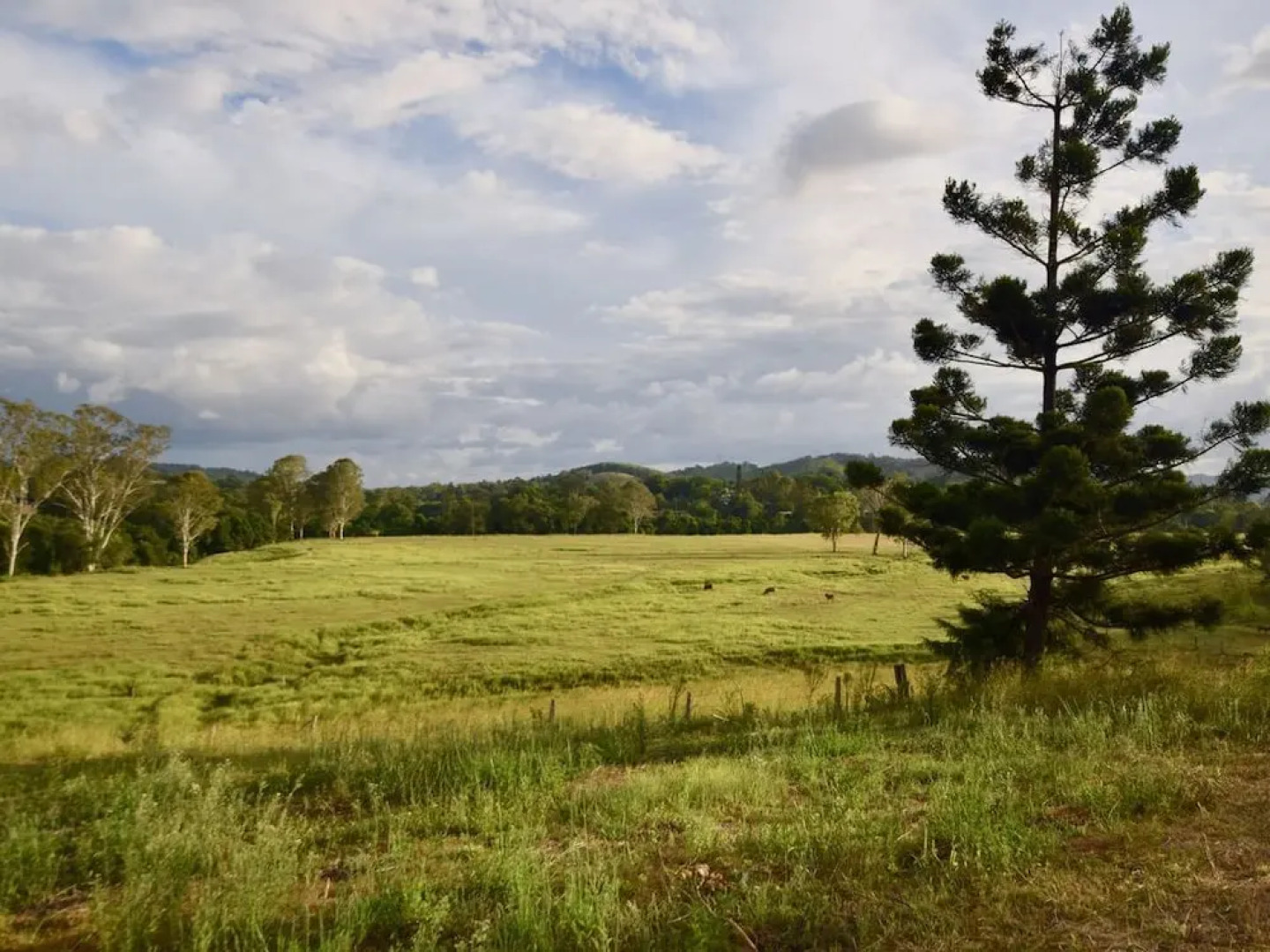 Country Breeze Farm Stay