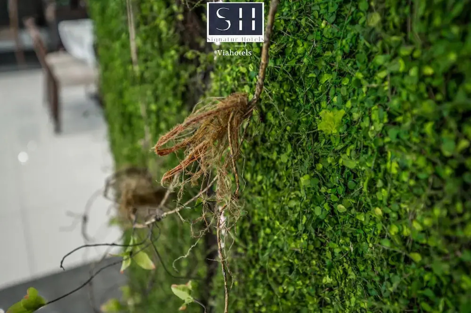 Signature BM Hotel Durres & Beach