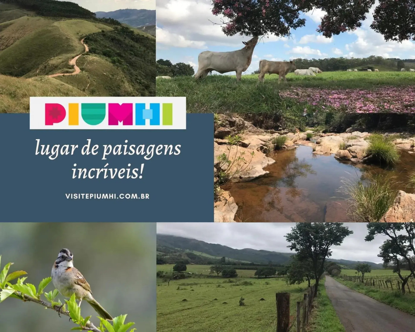 Terra Home Suítes 2 - Hospedagens de alto padrão em Piumhi MG