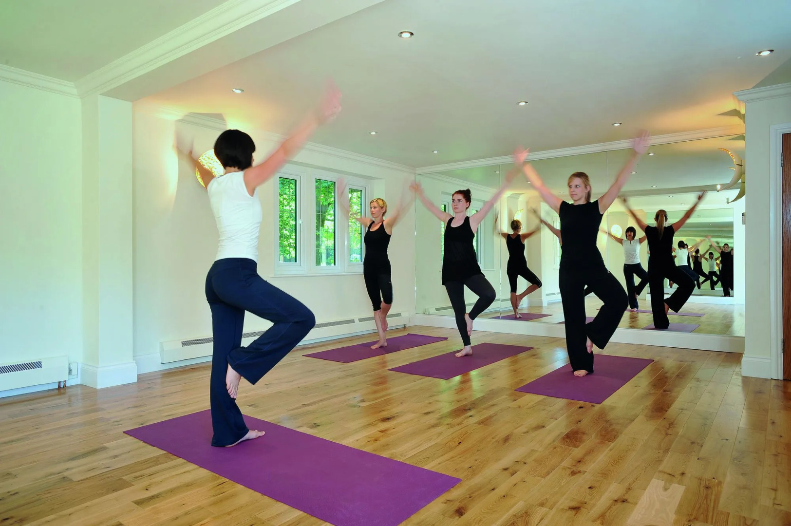 Lucknam Park, Emblems Collection