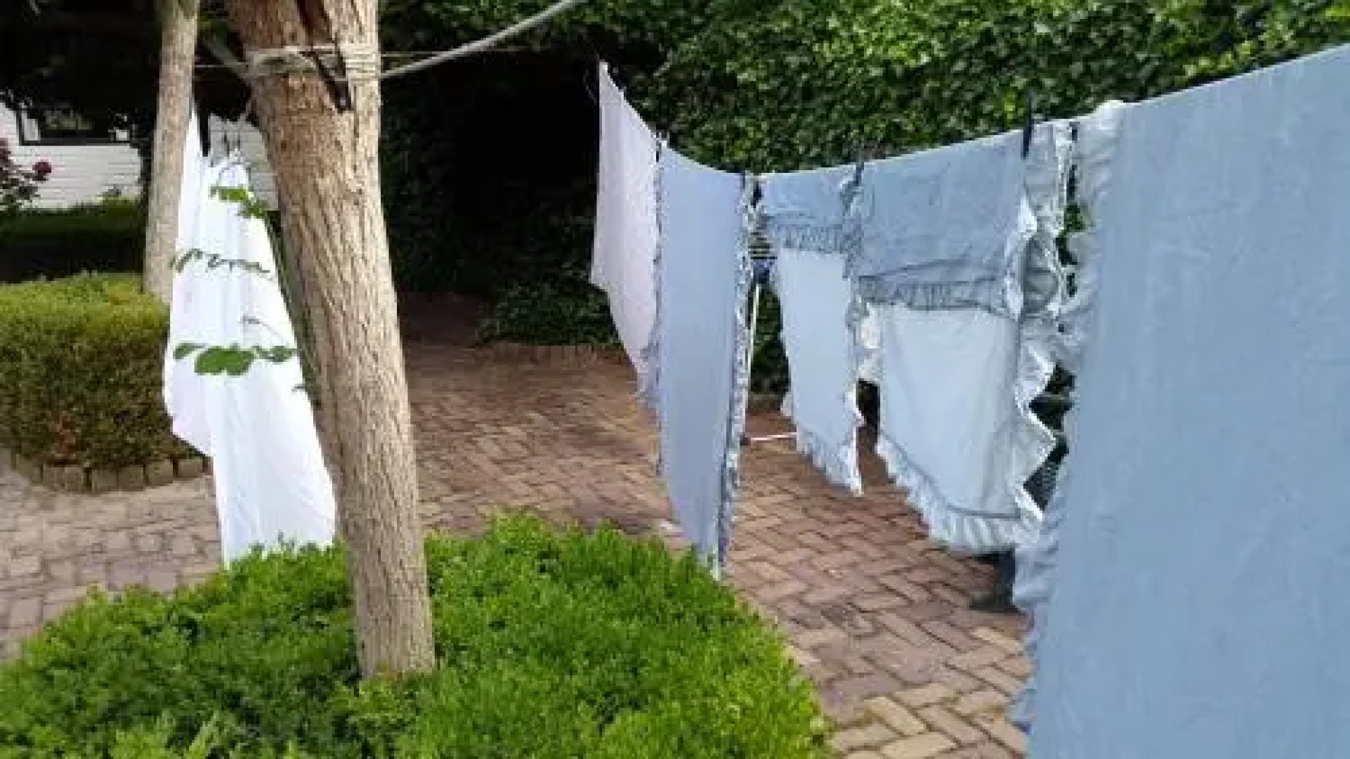 Bed en Brood de Veenhoeve