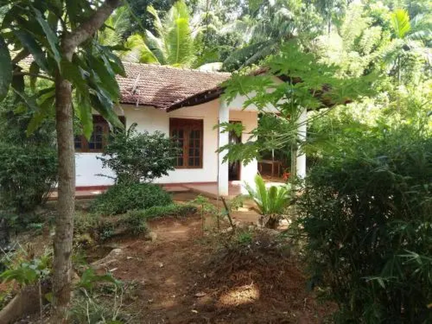 Pinnawala home stay