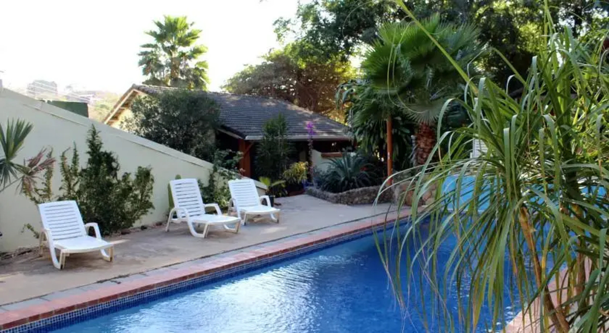 Tamarindo Surf Camp Percy