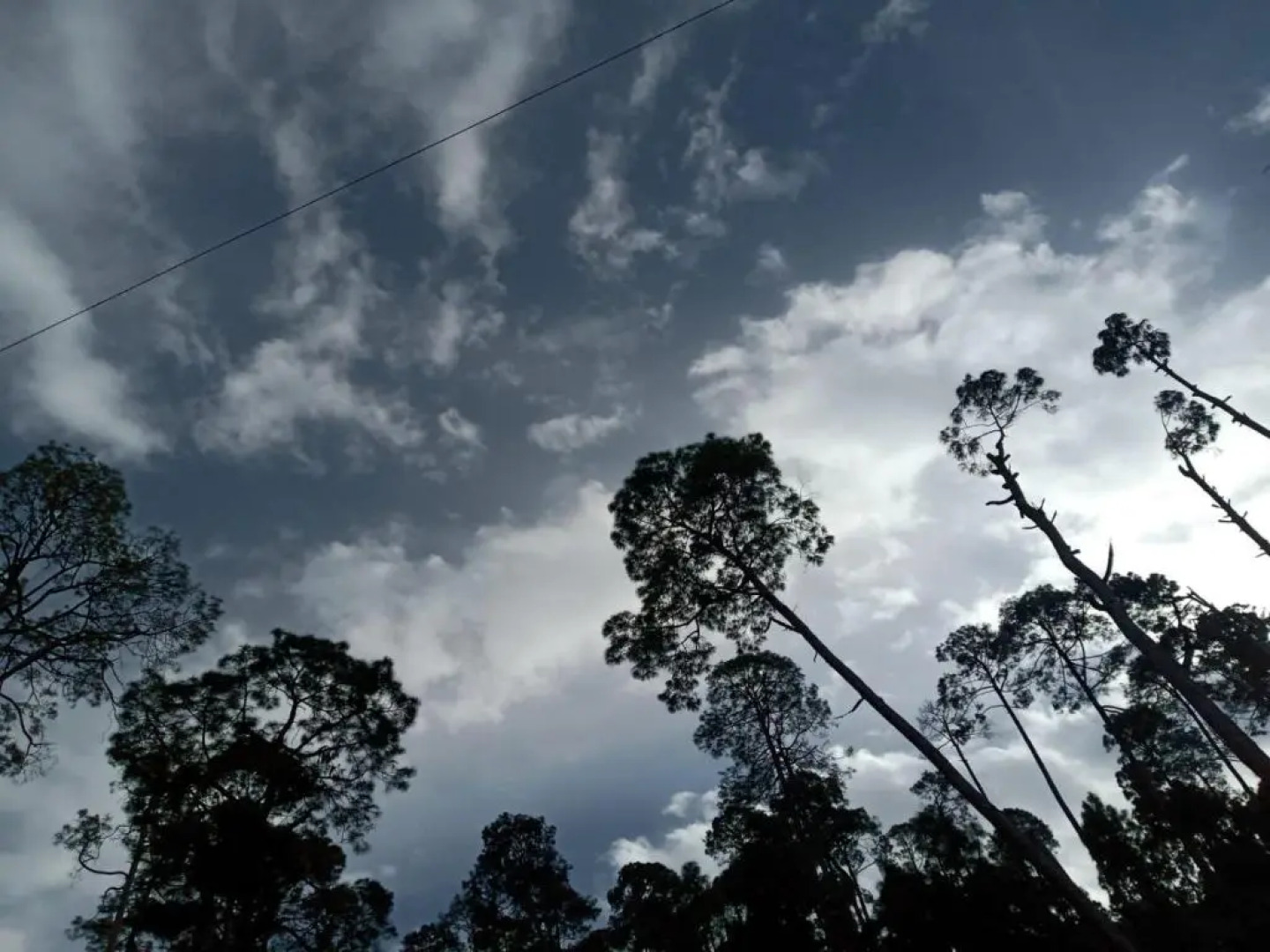 The Ranikhet Continental