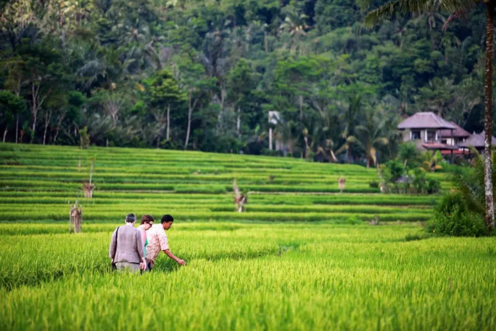 Great Mountain Views