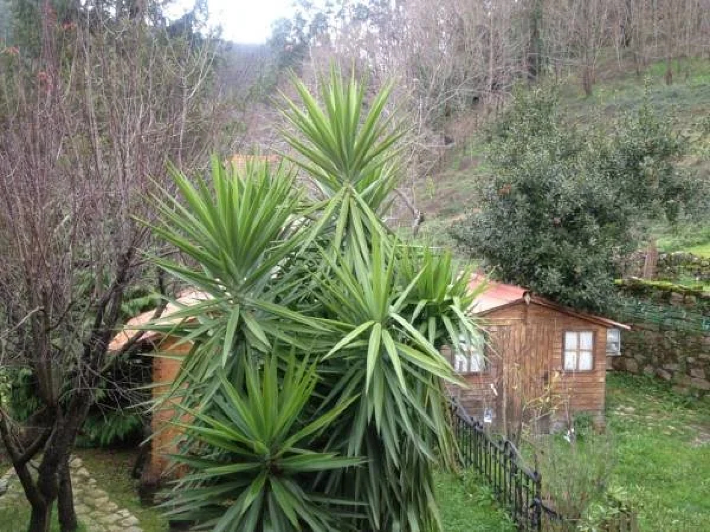 Posada Rincón del Pas