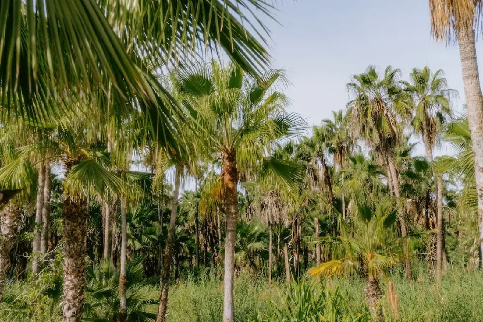 La Poza Boutique Hotel & Spa - Adults Only