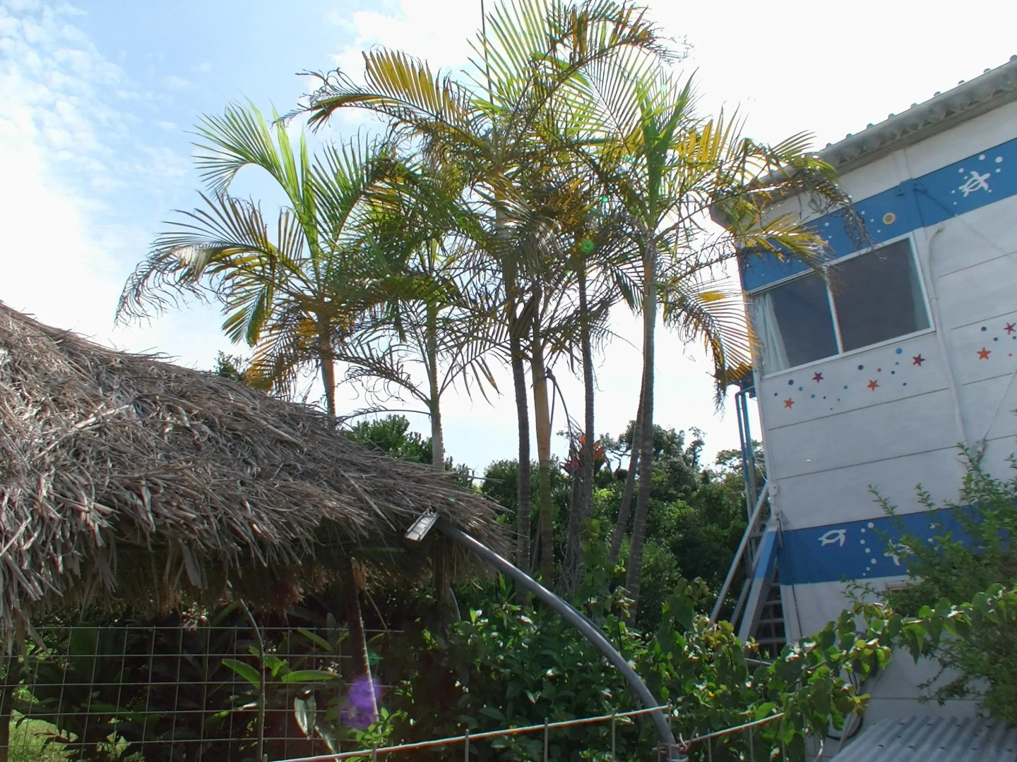 Sudomari no Yado Kamekame