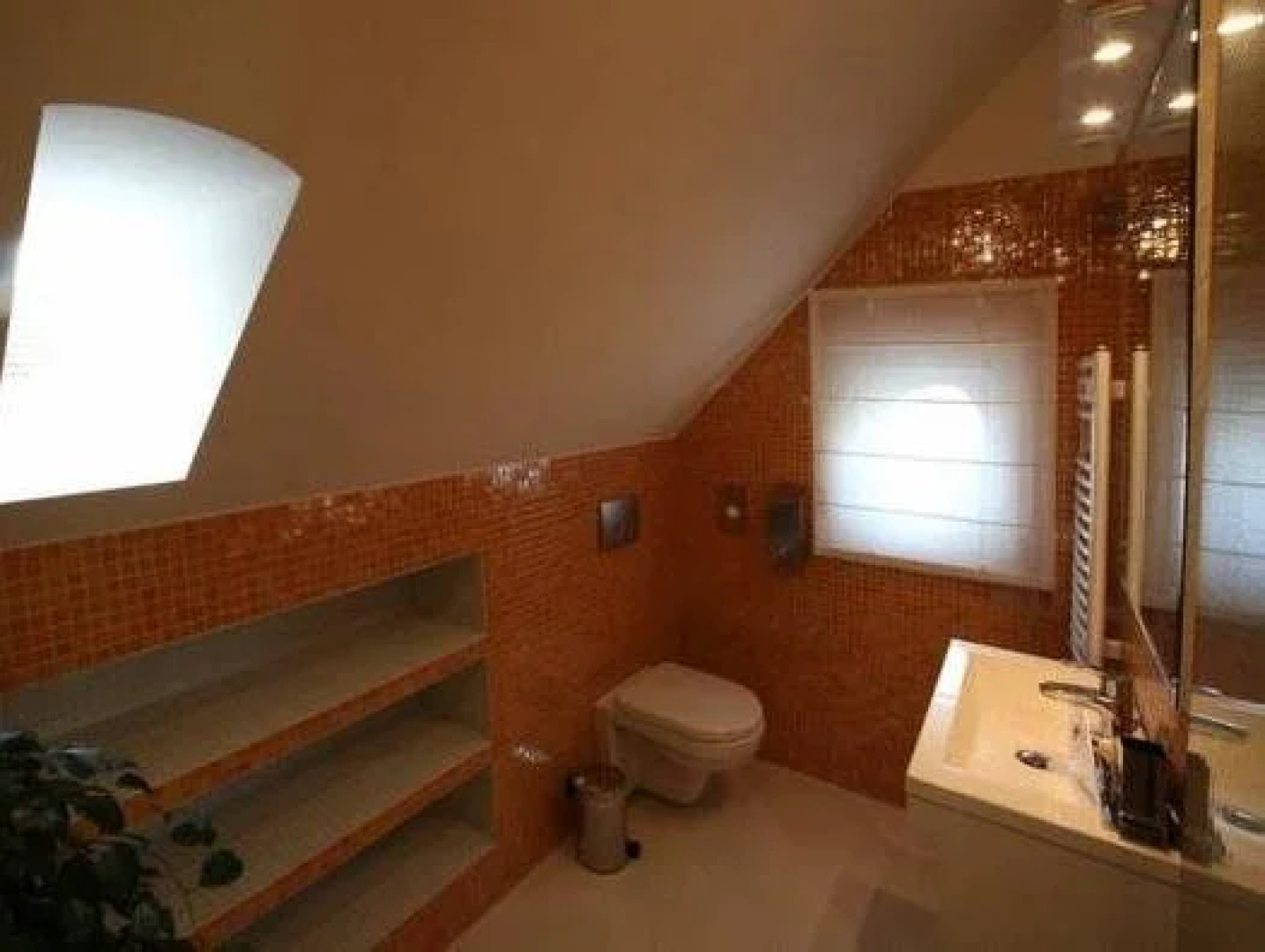 Platan Vararok Vendeghaz