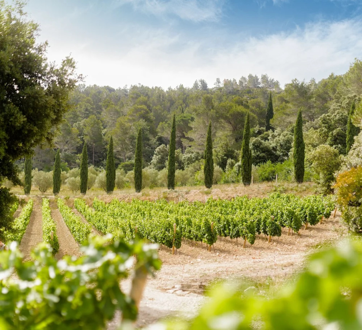 Château Haut Gléon. Gites