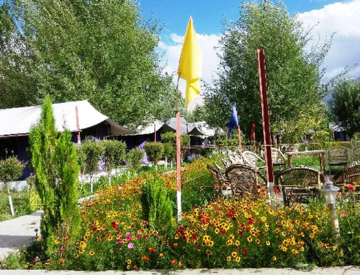Valley Flower Camp Nubra