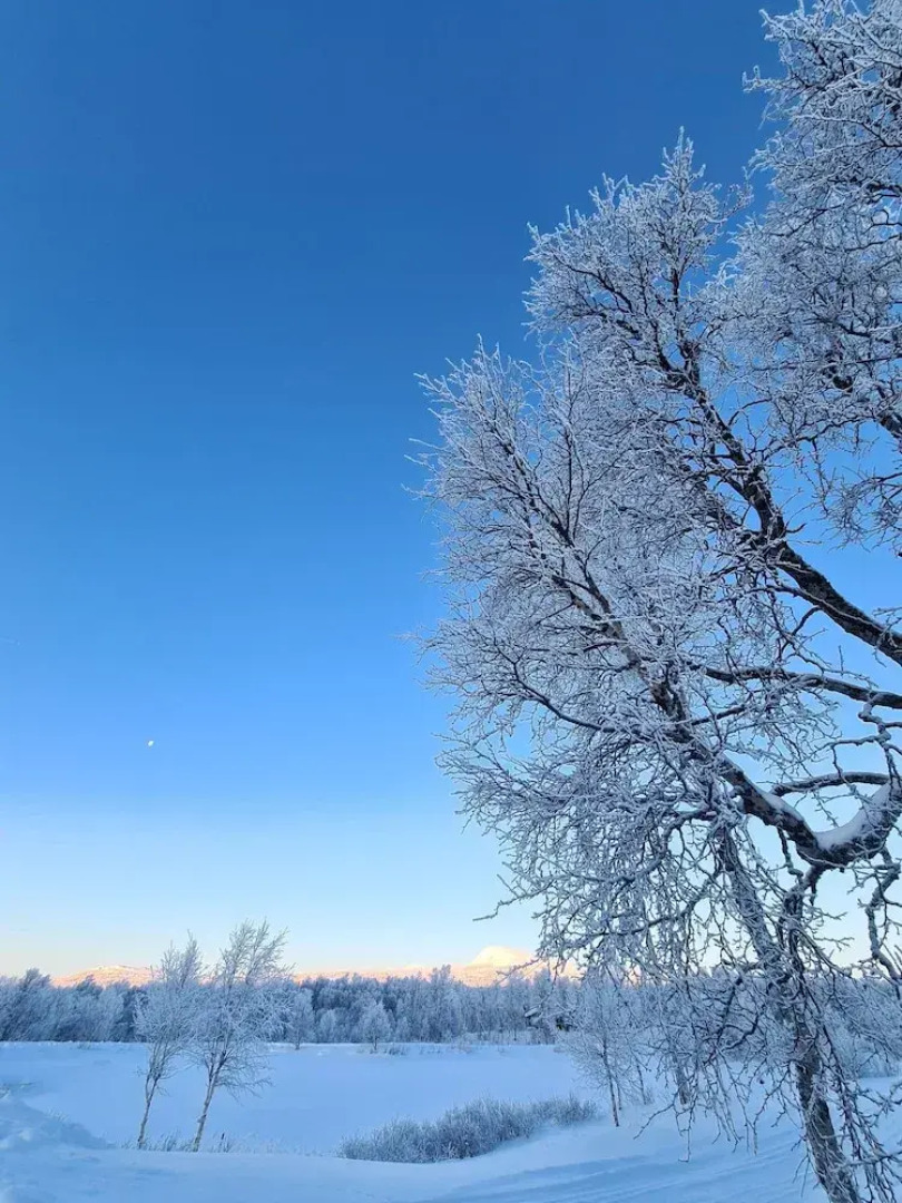 Vauldalen Fjellhotell