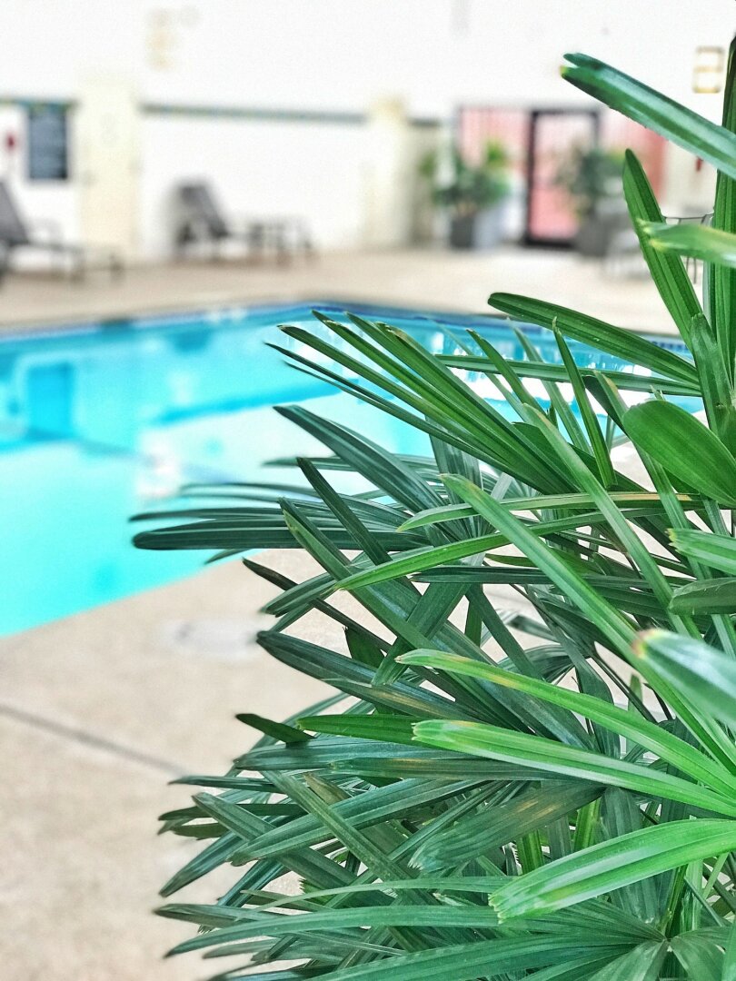 Delta Hotels by Marriott Minneapolis Northeast