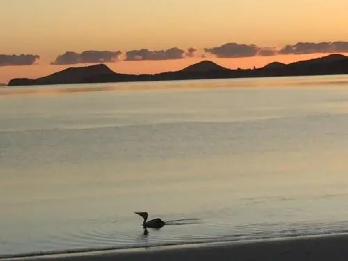 1 'The Clippers' 131 Soldiers Point Road - fabulous waterfront unit