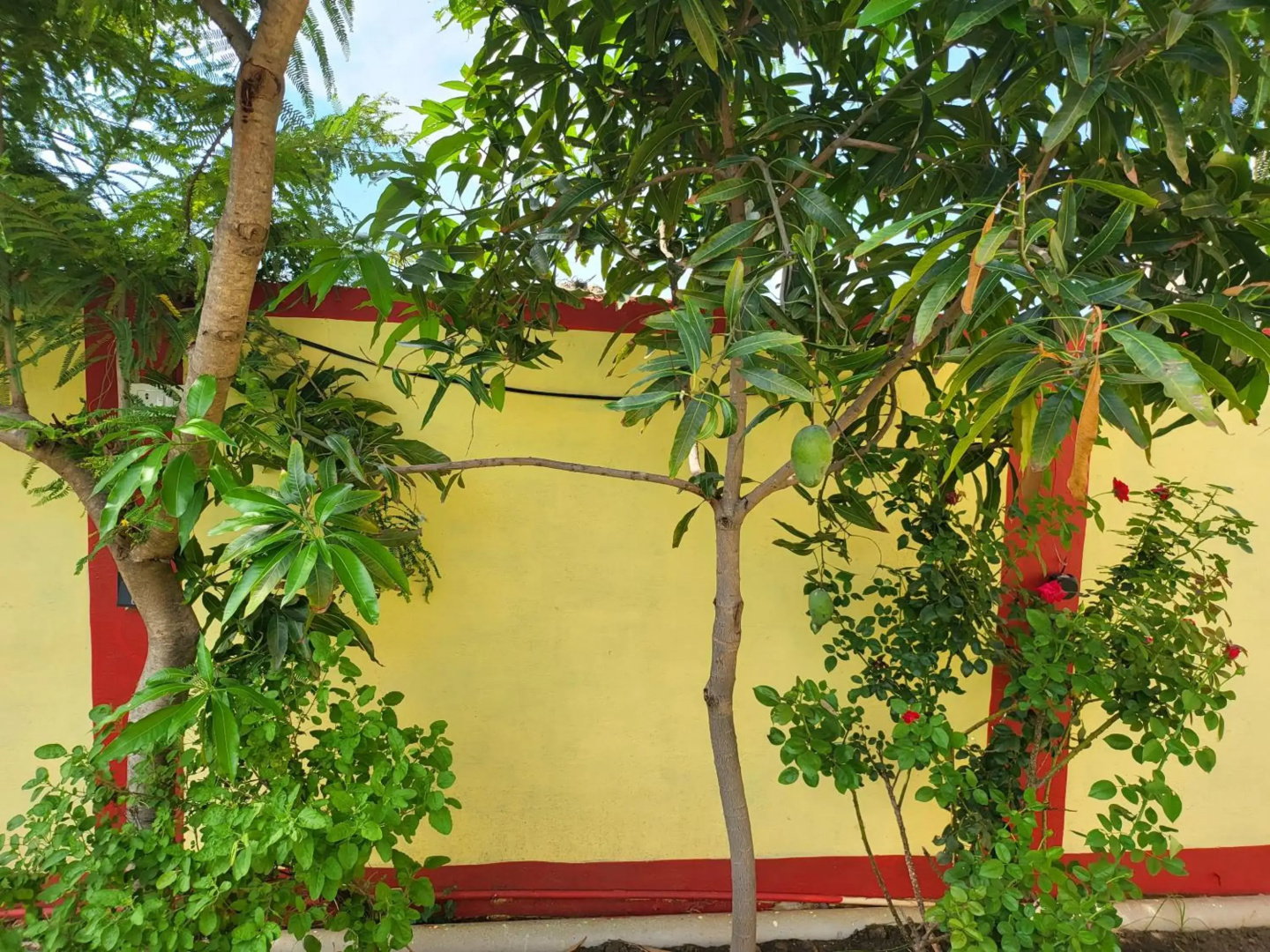 Bundeli Farm Resort Orchha