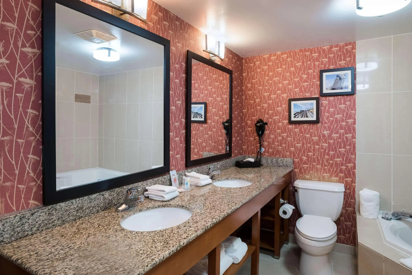 Comfort Suites Suffolk - Chesapeake