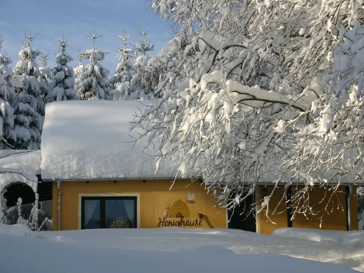 Apartment in Saxony With Terrace
