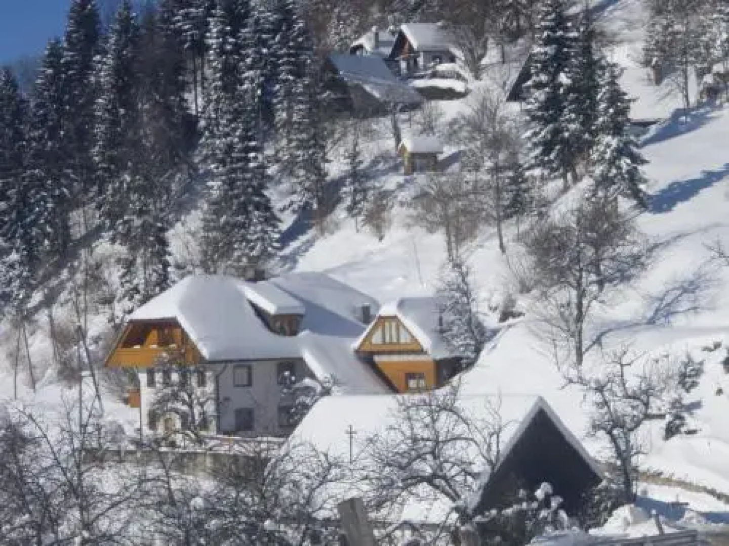 Apartments Gornik