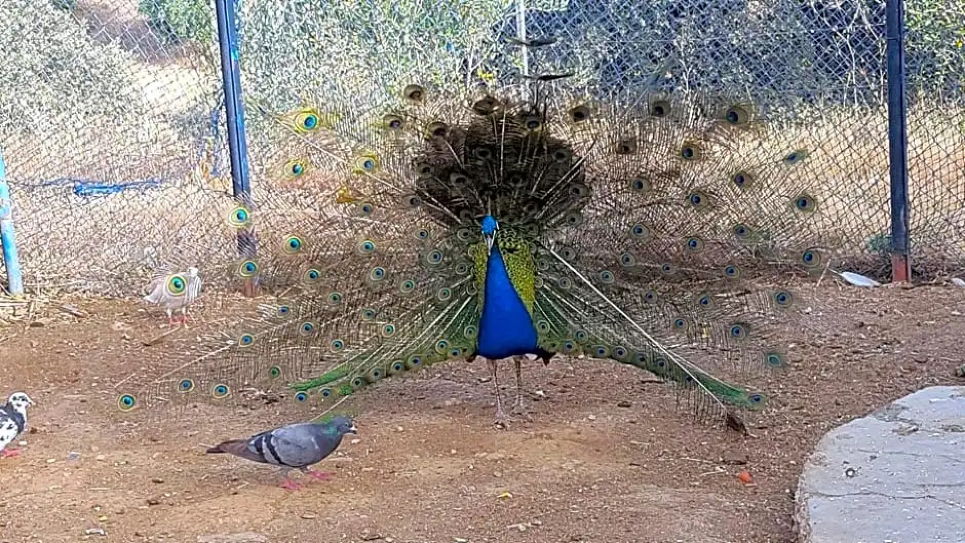 Relais De Tahla Sarl