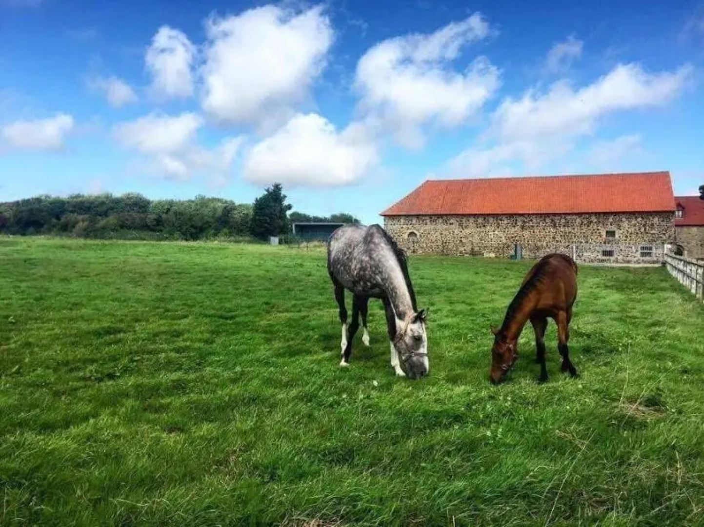 Manoir de La Converserie