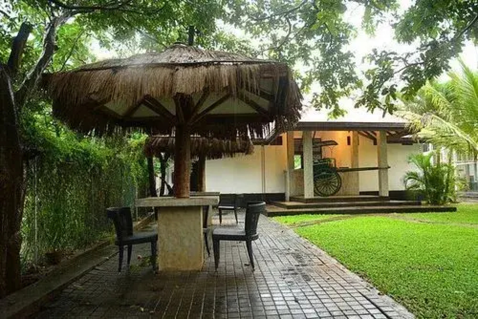 Oak Ray Elephant Lake