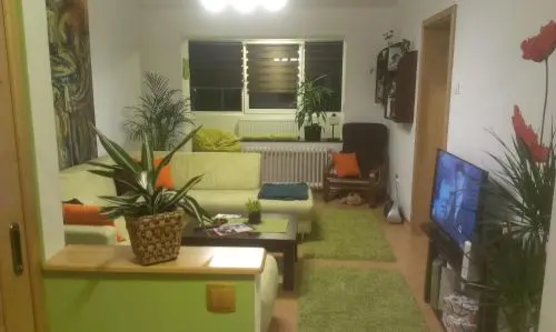 Green Apartment