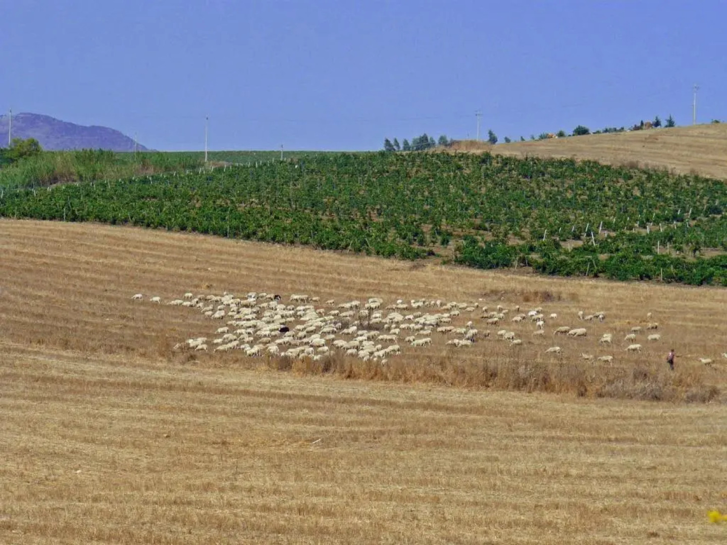 Baglio Nuovo Country Village