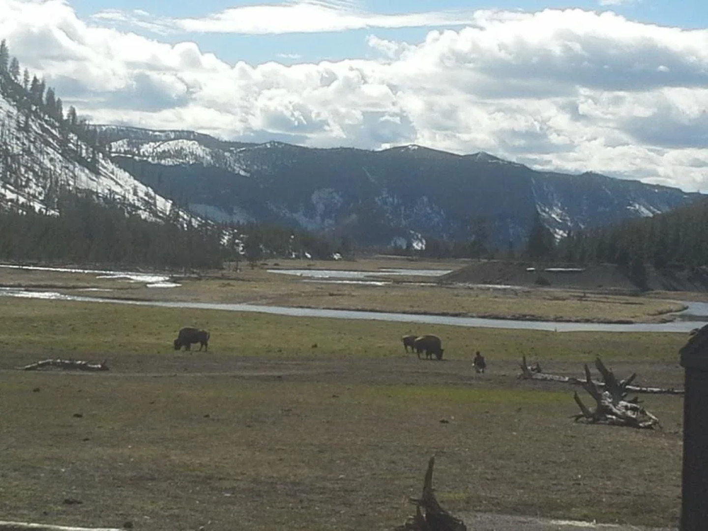 West Yellowstone Bed and Breakfast