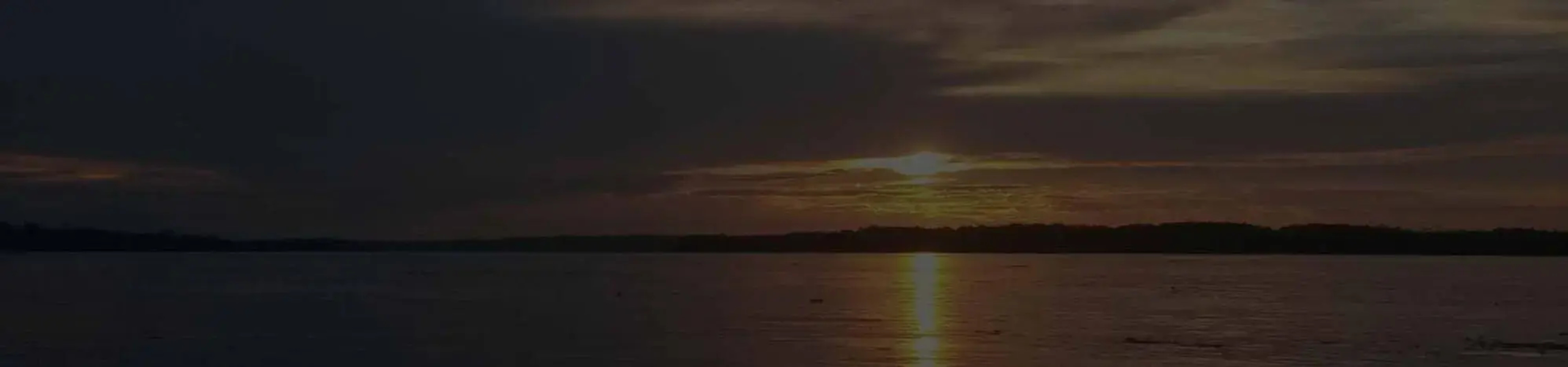 Avatar Amazon Lodge & Canopy Park