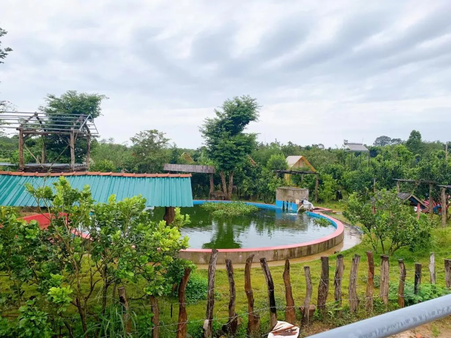 Rice straw Green lodge- resort